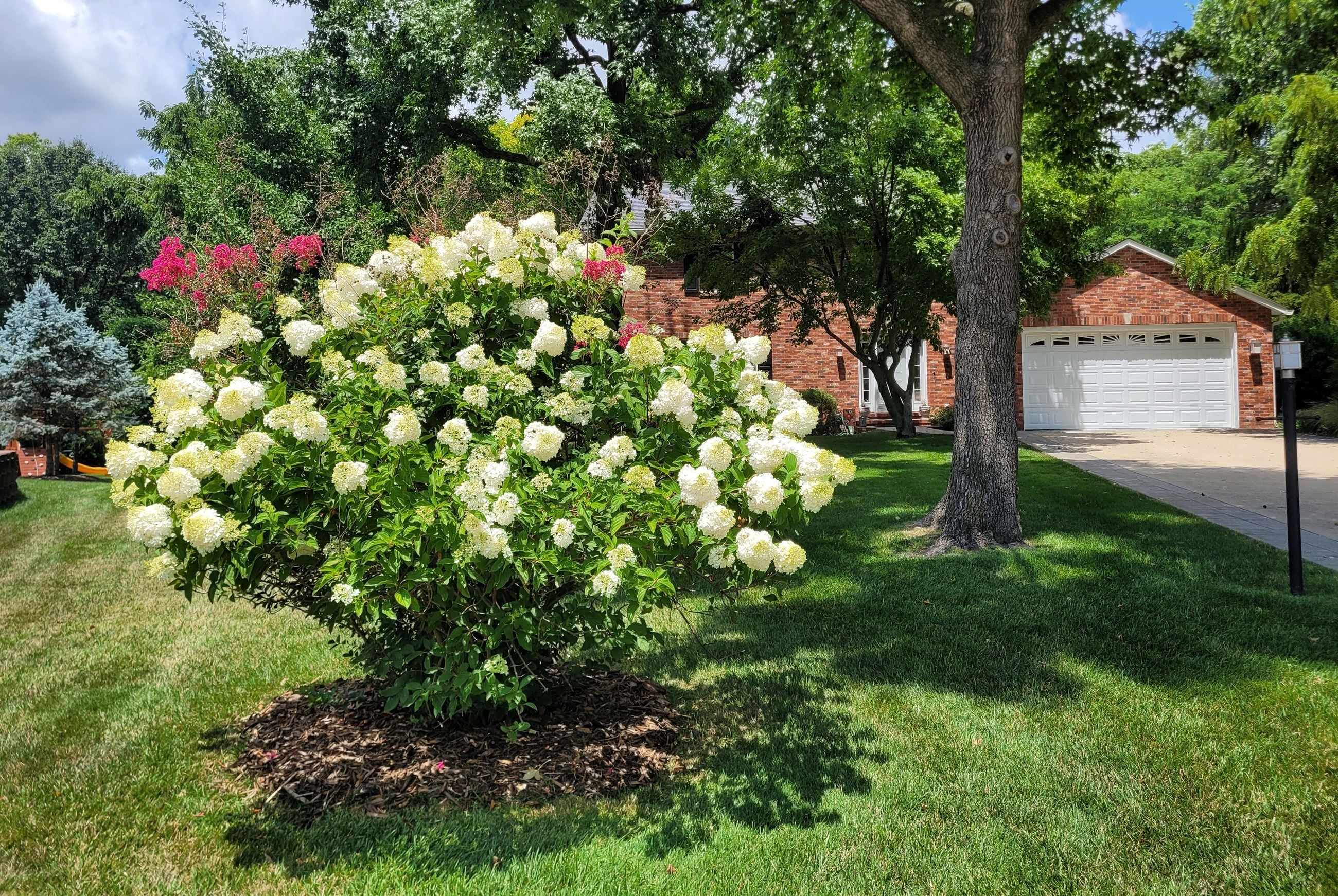 Green Thumb 2023-127 Drake Court