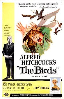 birds movie