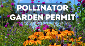 Edwardsville Environmental Commission graphic of pollinator garden permit