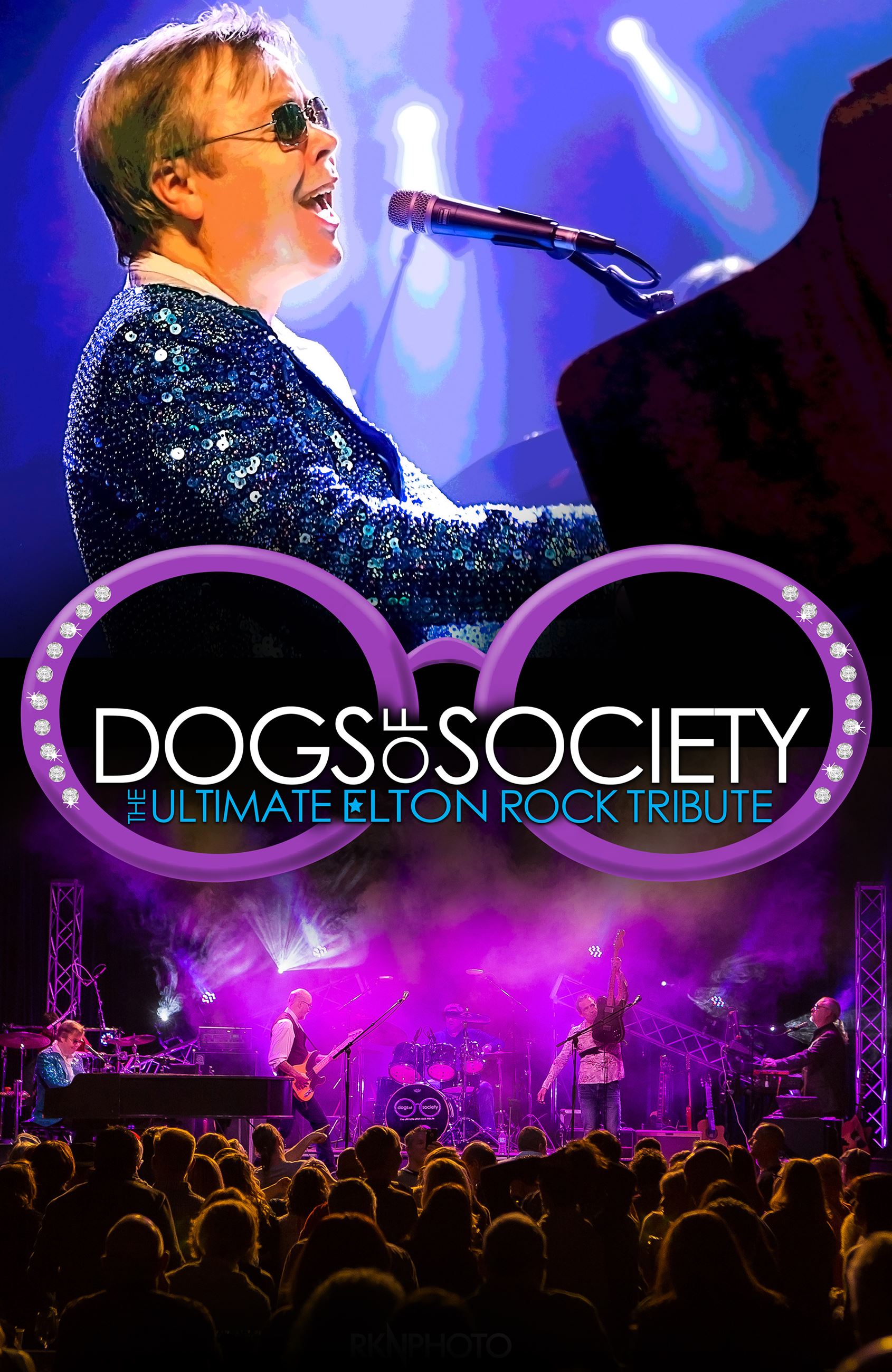 dogs poster